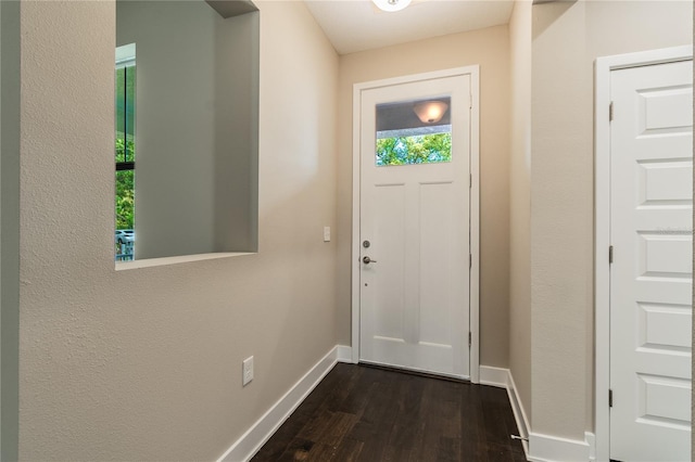 doorway with dark hardwood / wood-style floors