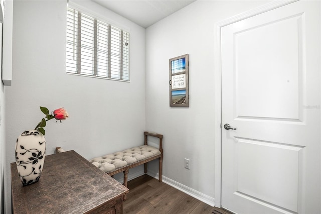 mudroom with dark hardwood / wood-style flooring