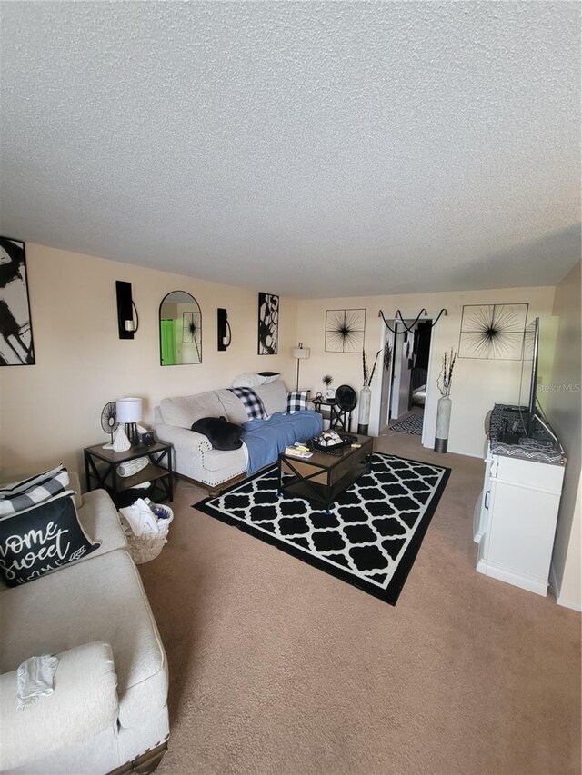 4880 Locust St NE Unit 234, Saint Petersburg, FL 33703 - living area with a textured ceiling and carpet