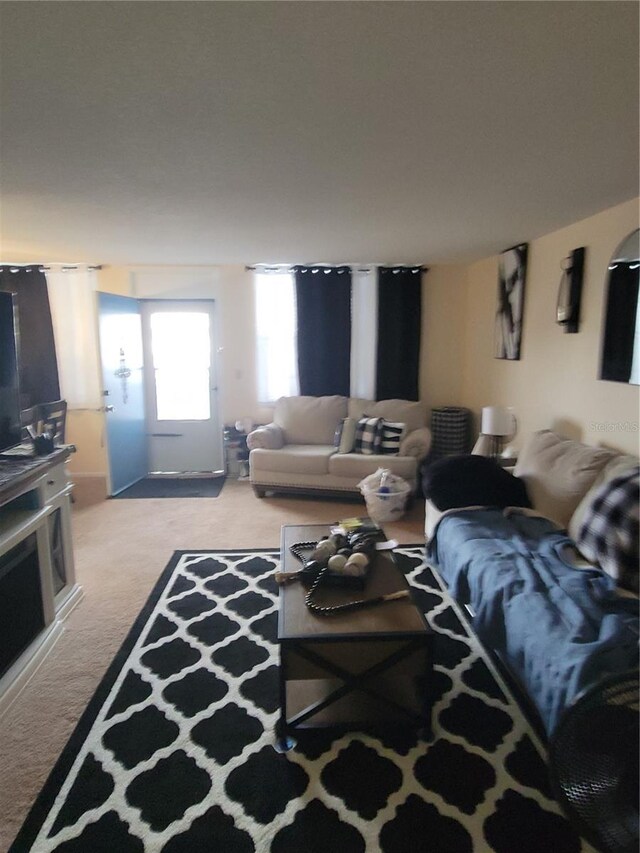 4880 Locust St NE Unit 234, Saint Petersburg, FL 33703 - living room featuring light carpet
