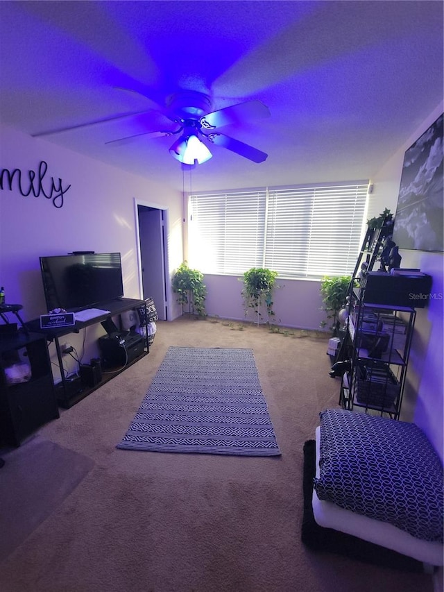 4880 Locust St NE Unit 234, Saint Petersburg, FL 33703 - living area with ceiling fan and carpet