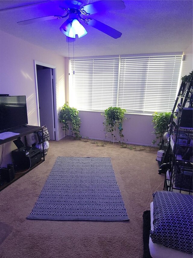 4880 Locust St NE Unit 234, Saint Petersburg, FL 33703 - view of patio