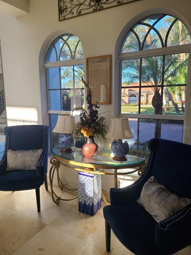 living area featuring a wealth of natural light