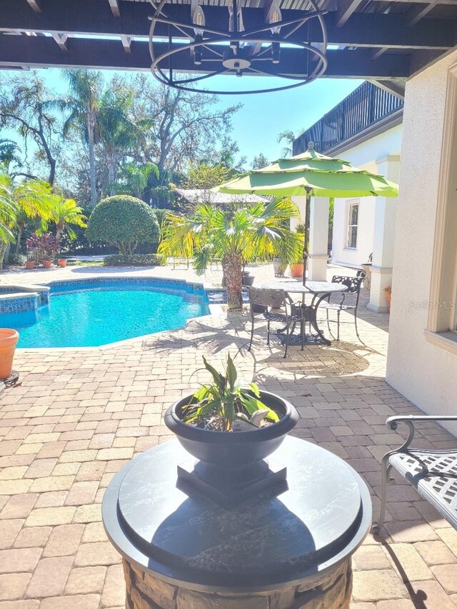 view of pool featuring a patio