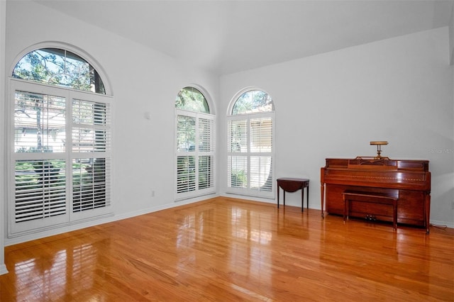 interior space featuring plenty of natural light and wood-type flooring