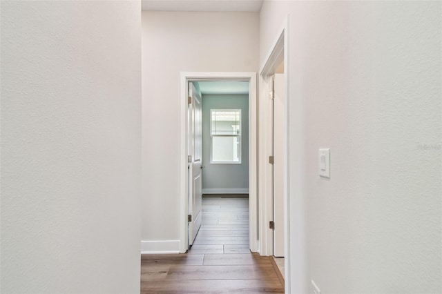 2735 36th Ave N, Saint Petersburg, FL 33713 - hall featuring wood finished floors and baseboards