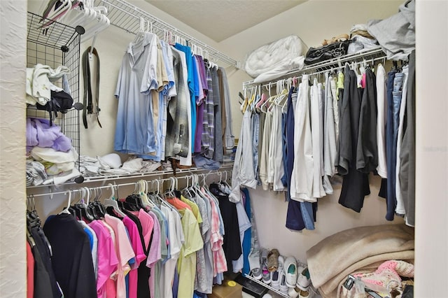 view of spacious closet