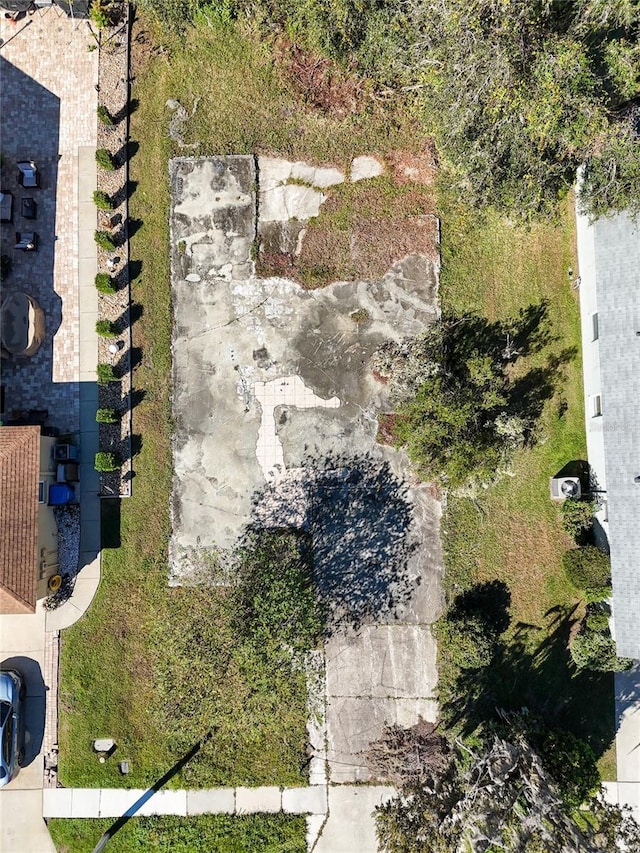 1323 Baythorn Dr, Wesley Chapel, FL 33543