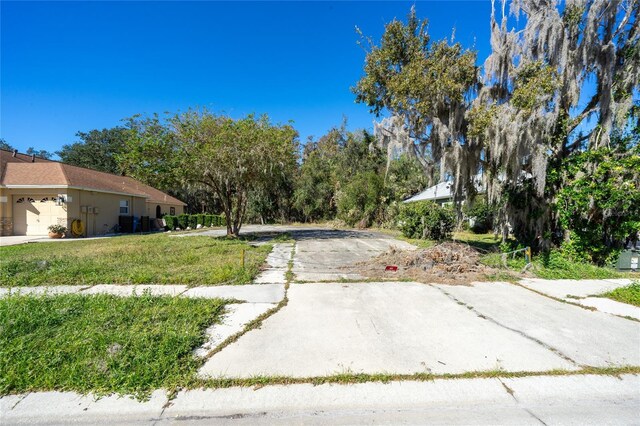 1323 Baythorn Dr, Wesley Chapel, FL 33543