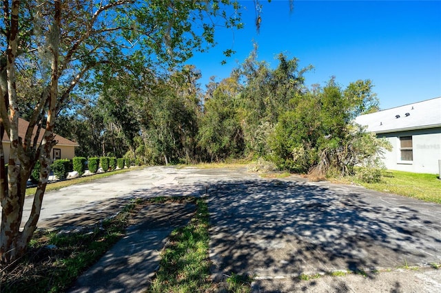 1323 Baythorn Dr, Wesley Chapel, FL 33543