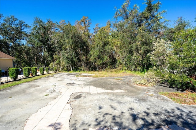 1323 Baythorn Dr, Wesley Chapel, FL 33543