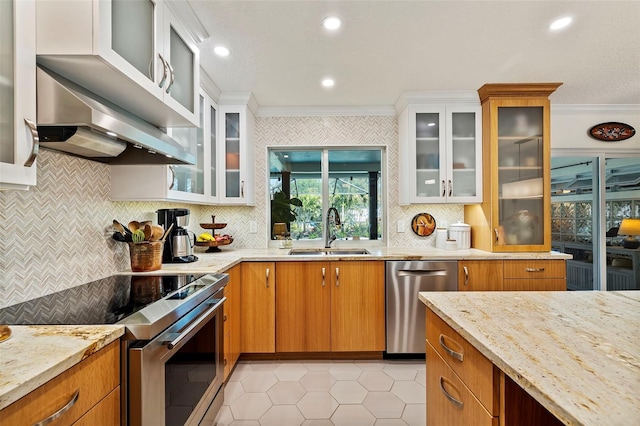 kitchen featuring exhaust hood, ornamental molding, sink, and appliances with stainless steel finishes