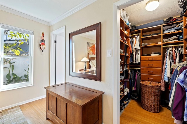 walk in closet featuring light hardwood / wood-style floors