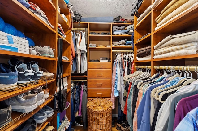 view of walk in closet