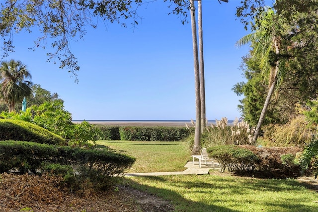 view of property's community featuring a yard and a rural view