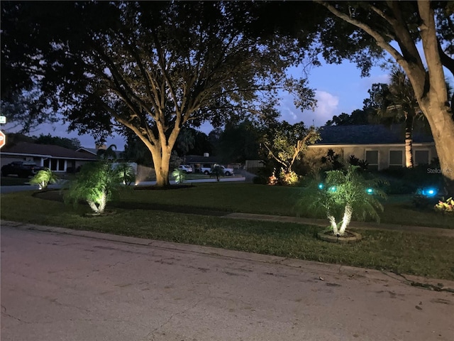 view of yard at dusk