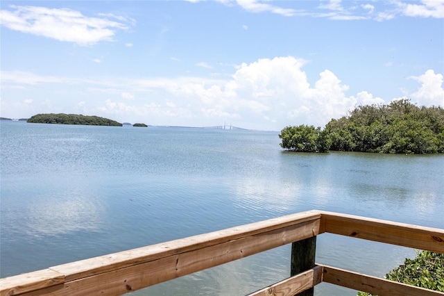 dock area with a water view