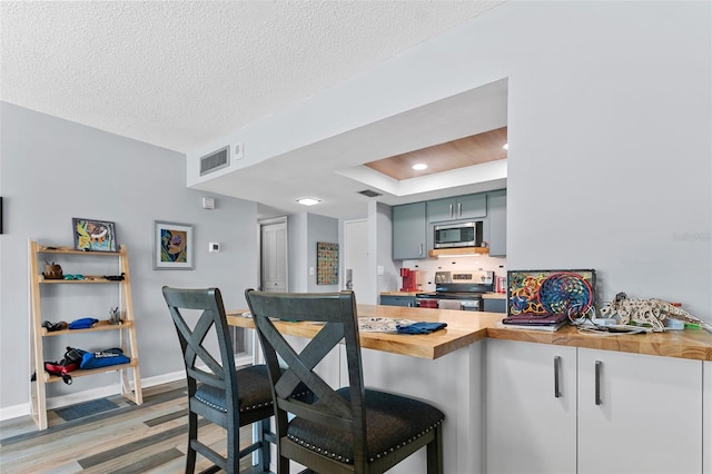 kitchen featuring hardwood / wood-style floors, wood counters, a raised ceiling, a textured ceiling, and appliances with stainless steel finishes