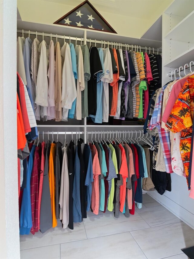 view of spacious closet