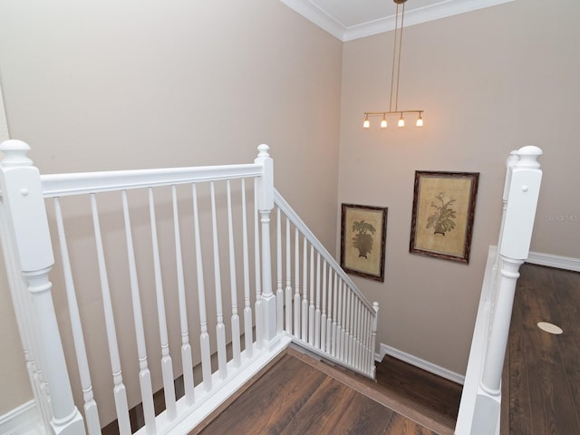 stairway featuring wood-type flooring and ornamental molding