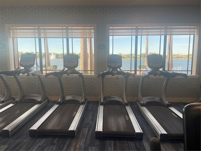 exercise room featuring dark hardwood / wood-style flooring, a water view, and brick wall