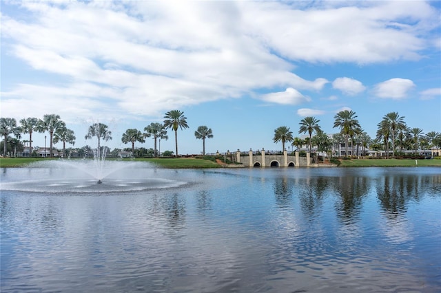 322 Ibisview Ln, Apollo Beach, FL 33572 - water view