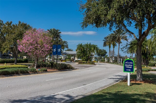 322 Ibisview Ln, Apollo Beach, FL 33572 - view of asphalt street with curbs and street lighting