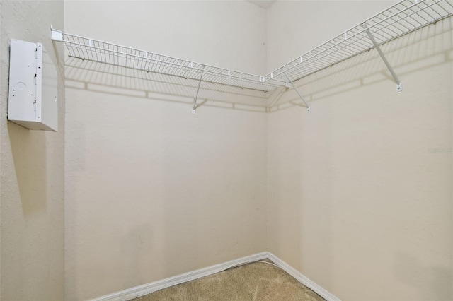 spacious closet with carpet