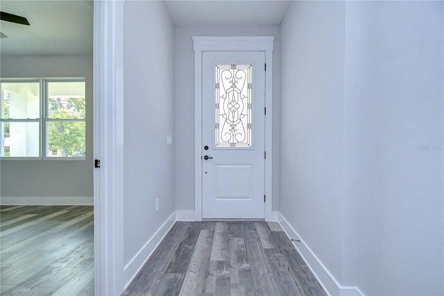 entryway featuring wood-type flooring