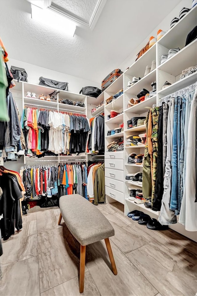 view of walk in closet