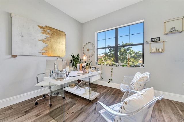 home office featuring hardwood / wood-style flooring