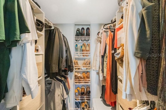 view of walk in closet