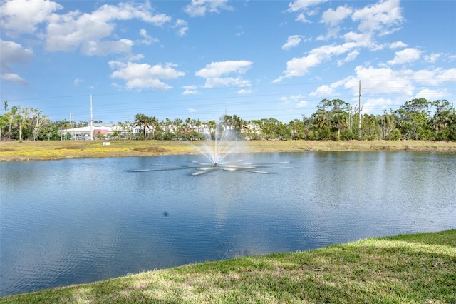 view of water feature