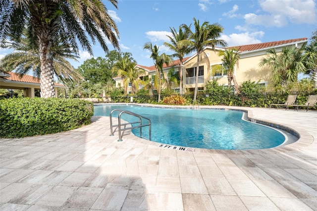 view of swimming pool with a patio