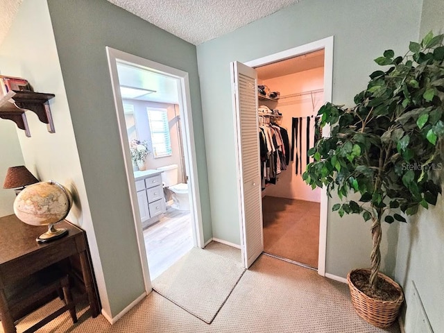 doorway featuring a textured ceiling and light colored carpet