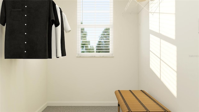 spacious closet with carpet floors