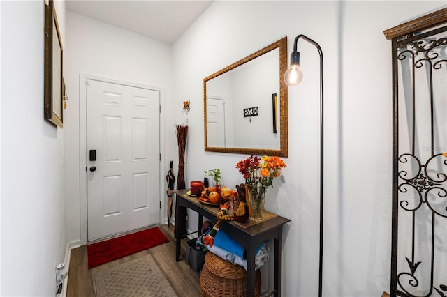 entryway with wood-type flooring