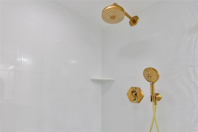 room details featuring a shower