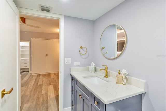 bathroom featuring hardwood / wood-style flooring and vanity