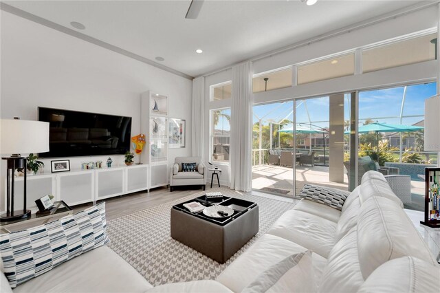 living room featuring hardwood / wood-style floors