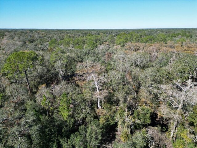 39716 Tworut Rd, Webster, FL 33597 - photo 30