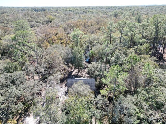 39716 Tworut Rd, Webster, FL 33597 - photo 31