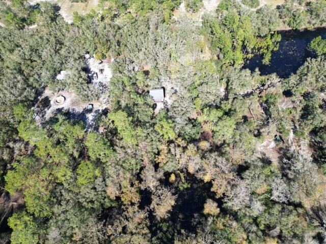 39716 Tworut Rd, Webster, FL 33597 - photo 32
