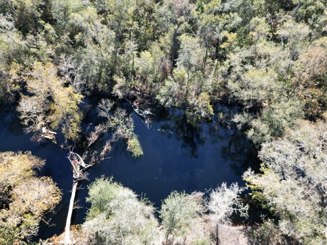 39716 Tworut Rd, Webster, FL 33597 - photo 33