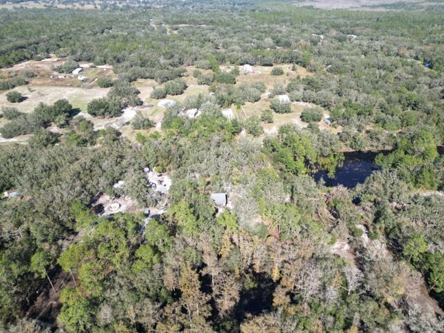 39716 Tworut Rd, Webster, FL 33597 - photo 34