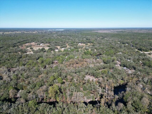 39716 Tworut Rd, Webster, FL 33597 - photo 35