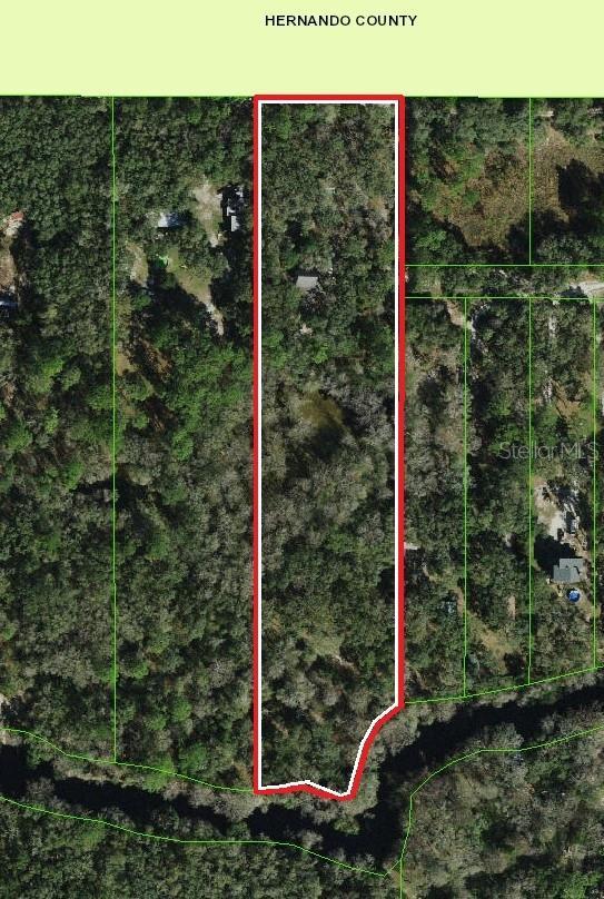 39716 Tworut Rd, Webster, FL 33597 - photo 36
