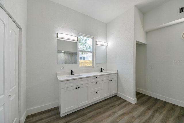 bathroom with vanity and wood-type flooring