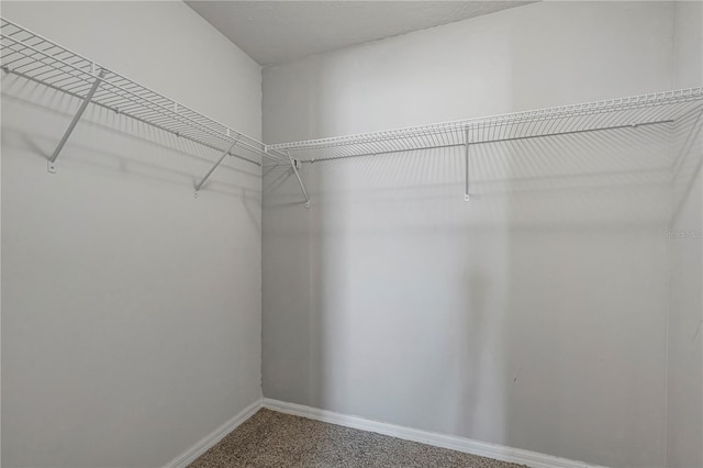 walk in closet featuring carpet