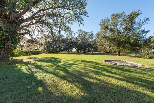 11008 Browning Rd, Lithia, FL 33547 - view of green lawn